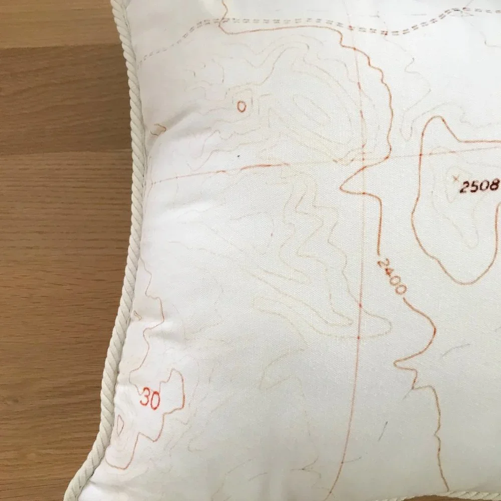 Anthropologie Large Throw Pillow Galapagos Kissing Seagulls Cotton Cover